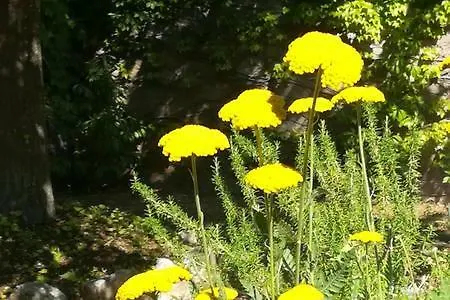 Villaggio Sole Sulmona